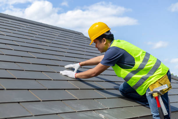 Best Roof Gutter Cleaning  in Salem, NJ