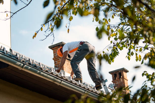 Best Roof Gutter Cleaning  in Salem, NJ