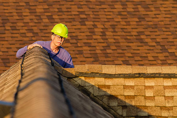 Best Roof Gutter Cleaning  in Salem, NJ